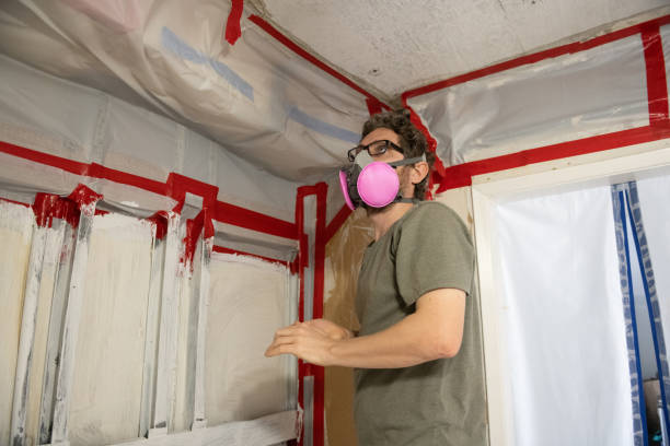 Best Comprehensive Air Testing for Mold Contaminants  in Ship Bottom, NJ