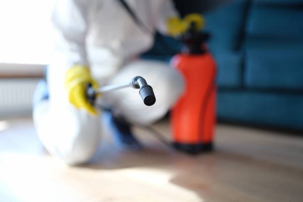 Best Environmental Consulting for Mold Prevention  in Ship Bottom, NJ