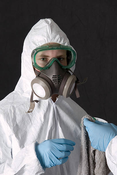 Best Mold Damage Restoration  in Ship Bottom, NJ